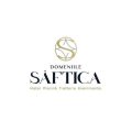 Domeniile Saftica